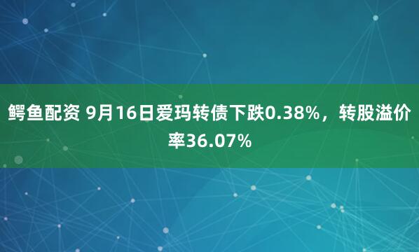 鳄鱼配资 9月16日爱玛转债下跌0.38%，转股溢价率36.07%