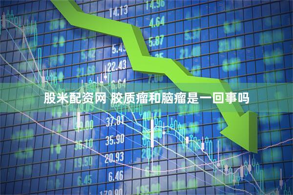 股米配资网 胶质瘤和脑瘤是一回事吗