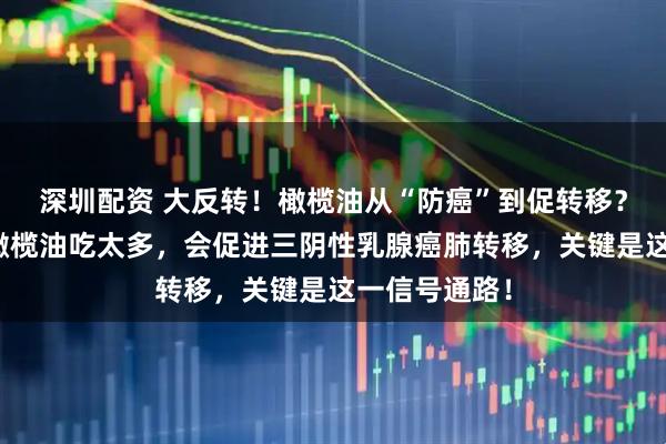 深圳配资 大反转！橄榄油从“防癌”到促转移？最新研究：橄榄油吃太多，会促进三阴性乳腺癌肺转移，关键是这一信号通路！
