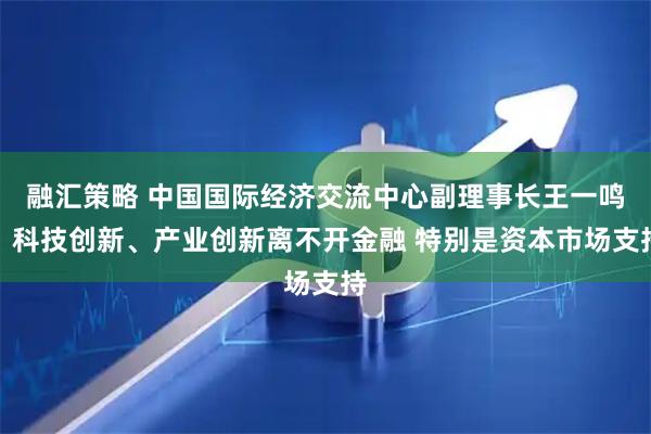 融汇策略 中国国际经济交流中心副理事长王一鸣：科技创新、产业创新离不开金融 特别是资本市场支持
